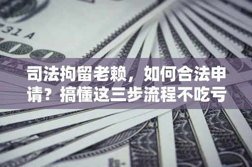 北京司法拘留老赖，如何合法申请？搞懂这三步流程不吃亏！