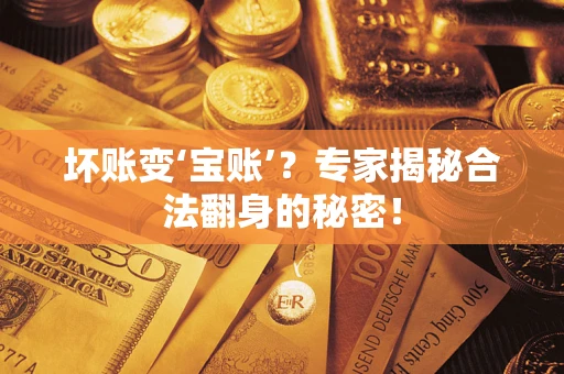 北京坏账变‘宝账’？专家揭秘合法翻身的秘密！