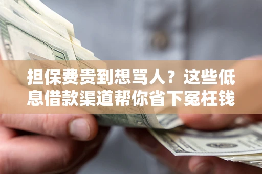 北京担保费贵到想骂人？这些低息借款渠道帮你省下冤枉钱