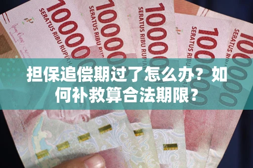 北京担保追偿期过了怎么办？如何补救算合法期限？