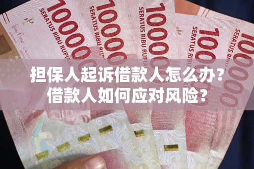 北京担保人起诉借款人怎么办？借款人如何应对风险？