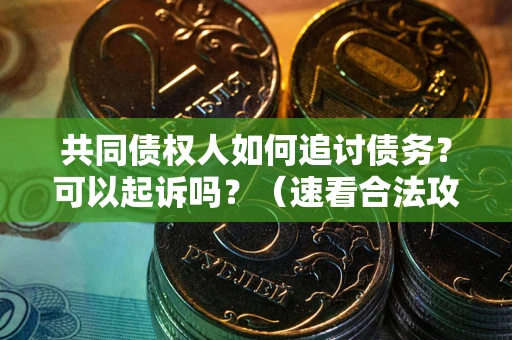 北京共同债权人如何追讨债务？可以起诉吗？（速看合法攻略）