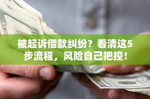 北京被起诉借款纠纷？看清这5步流程，风险自己把控！