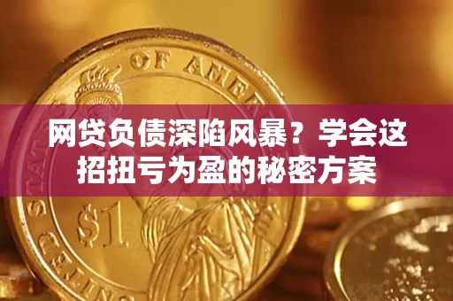 北京网贷负债深陷风暴？学会这招扭亏为盈的秘密方案